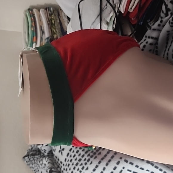 Sexy Elf Bikini - Picture 5 of 5